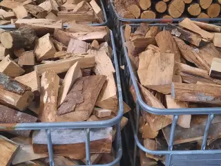 Brænde Bøg lagret