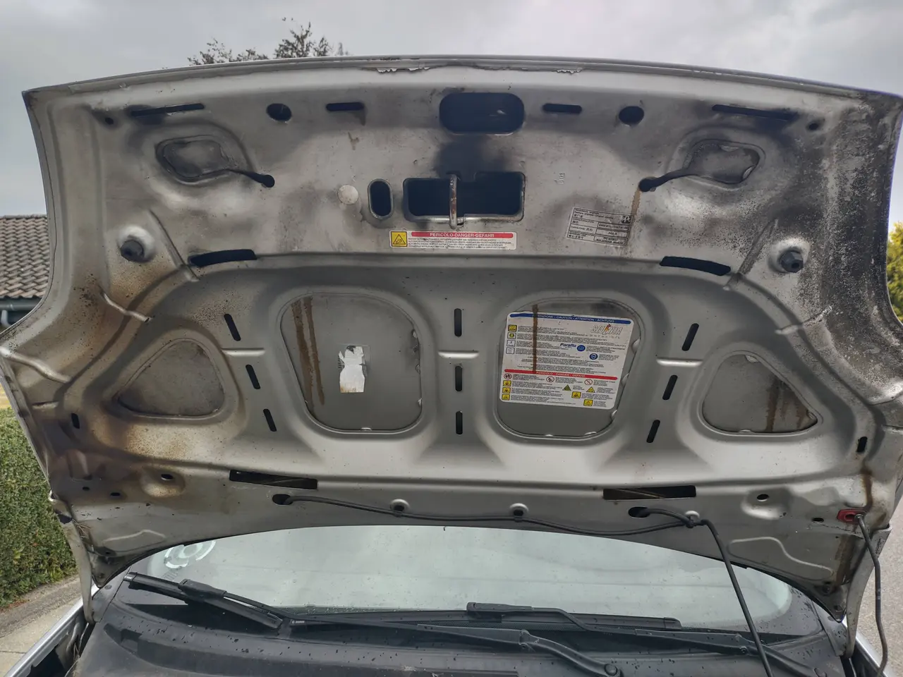 Billede 13 - Pæn og rustfri en-ejers Fiat Punto 1,4 77 HK