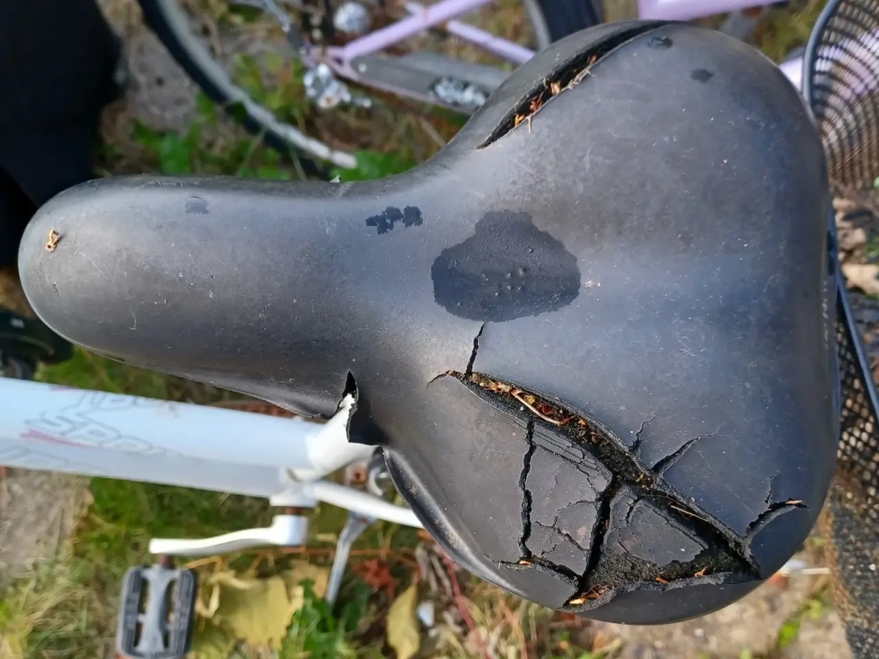 Billede 1 - Cykel søger kærlighed 