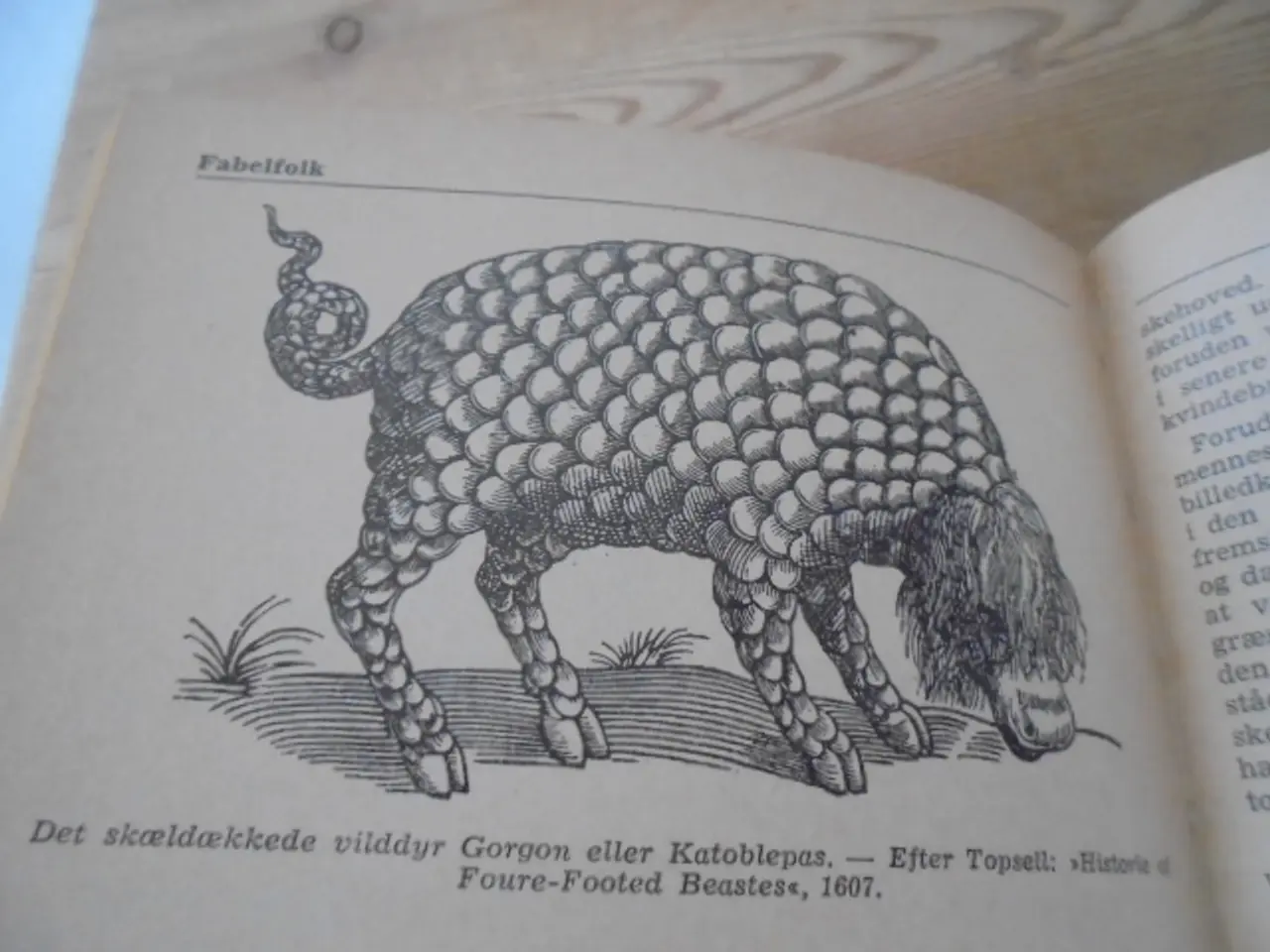 Billede 4 - Fabeldyr og sagnfolk – se fotos og omtale