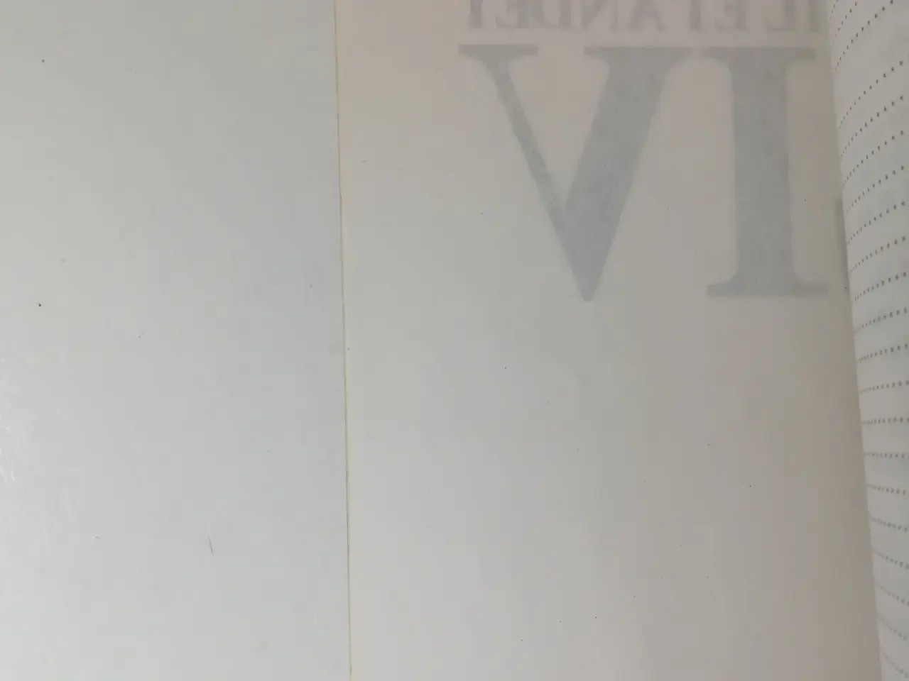 Billede 2 - FØDT TIL ET ANDET LIV, af Knud Lundberg