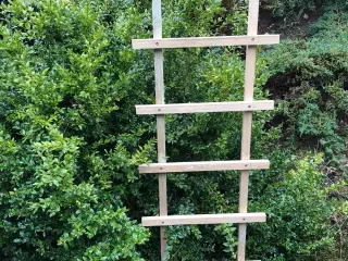 Espalier