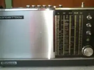 grundig transsit