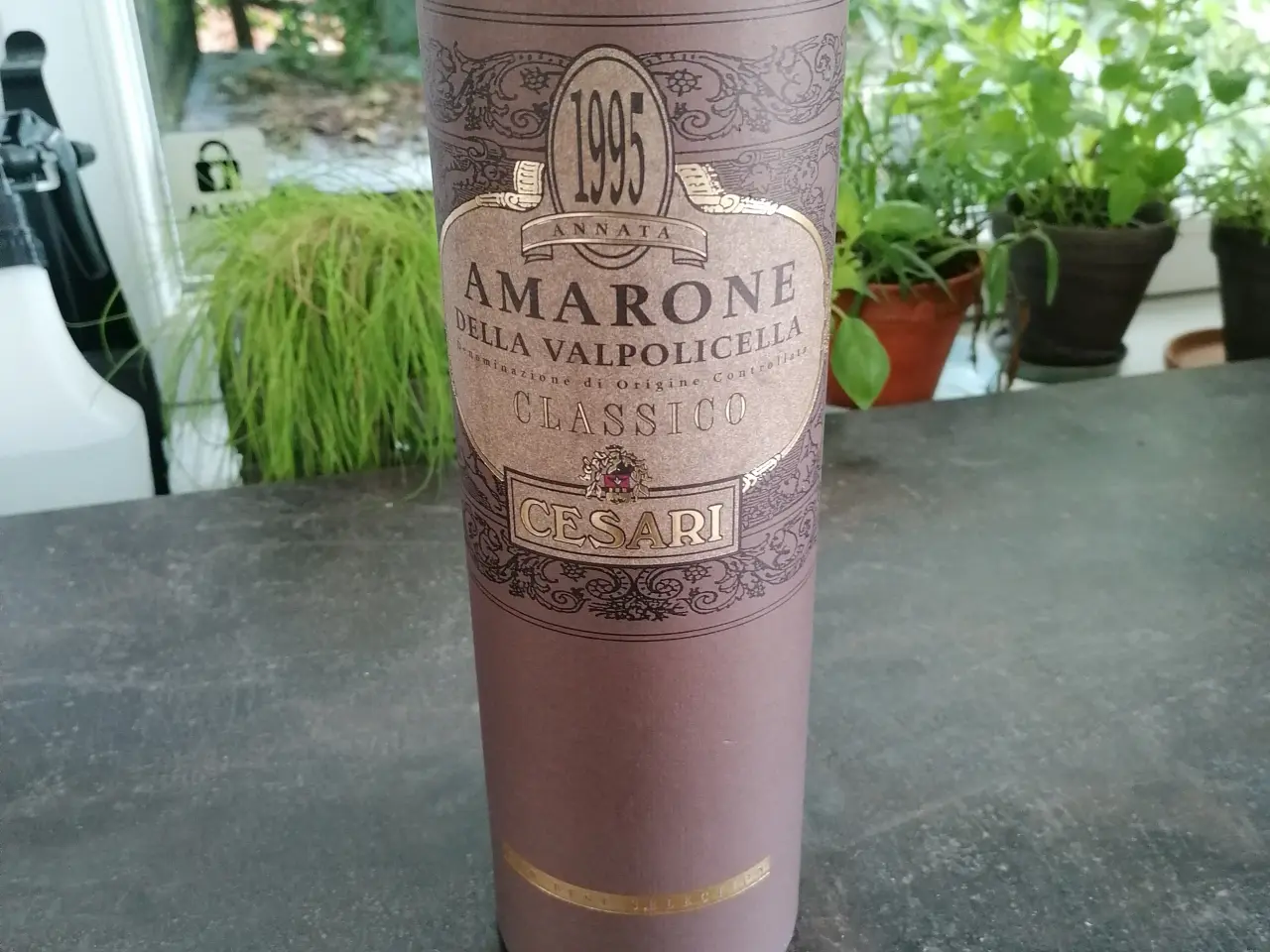 Billede 5 - Amarone Della Valpolicella classico 1995