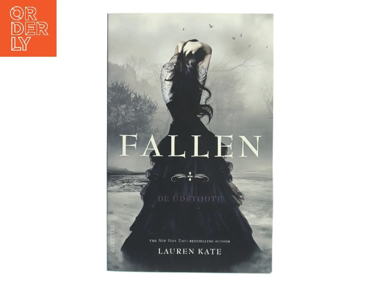 Billede 1 - Fallen De udstødte af Kate Lauren (Bog)
