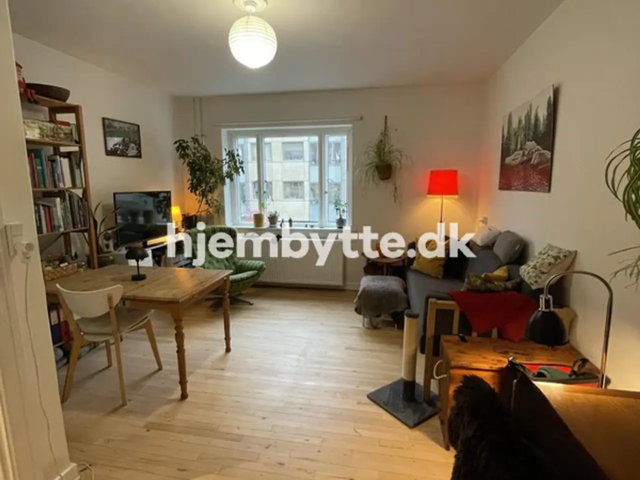 Billede 7 - Hjembytte - Stærevej