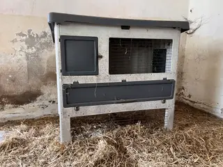 Kaninbur
