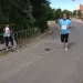 horsensbeslagsmedie