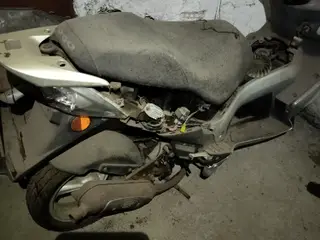 Pgo G max