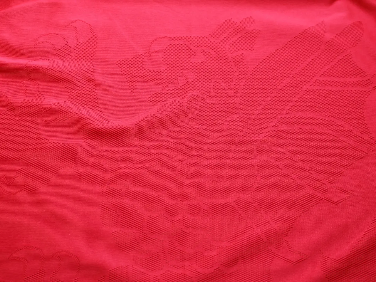 Billede 9 - Wales national team jersey (2008-2010)Str.L