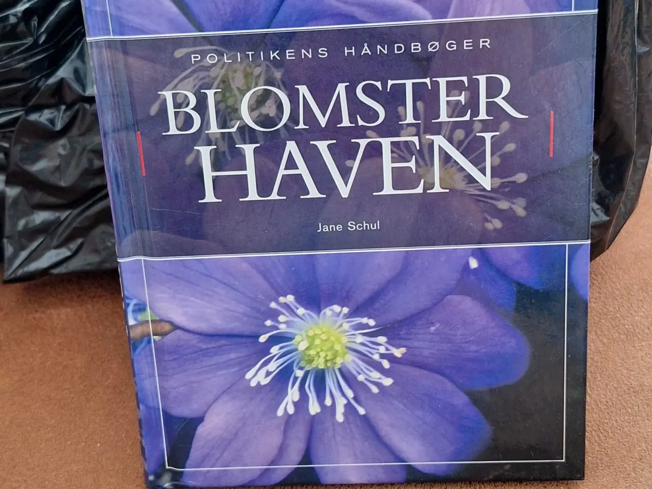 Billede 1 - Blomster haven