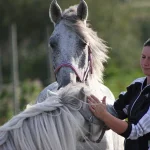 Guldager