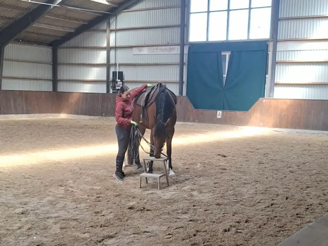 Billede 2 - Tilridning af Hest