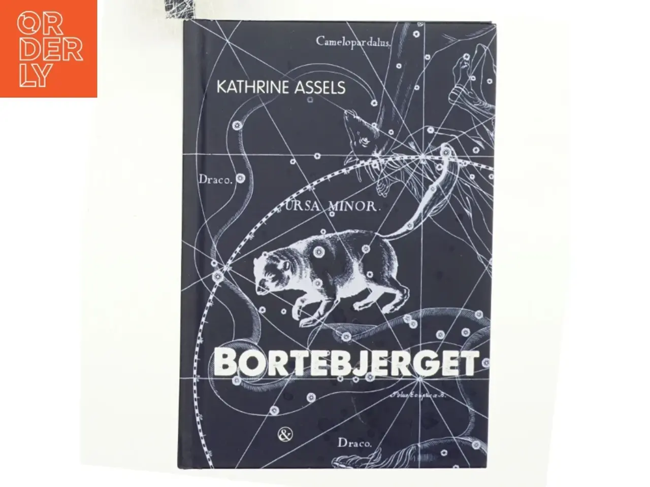 Billede 1 - Bortebjerget af Kathrine Assels (Bog)