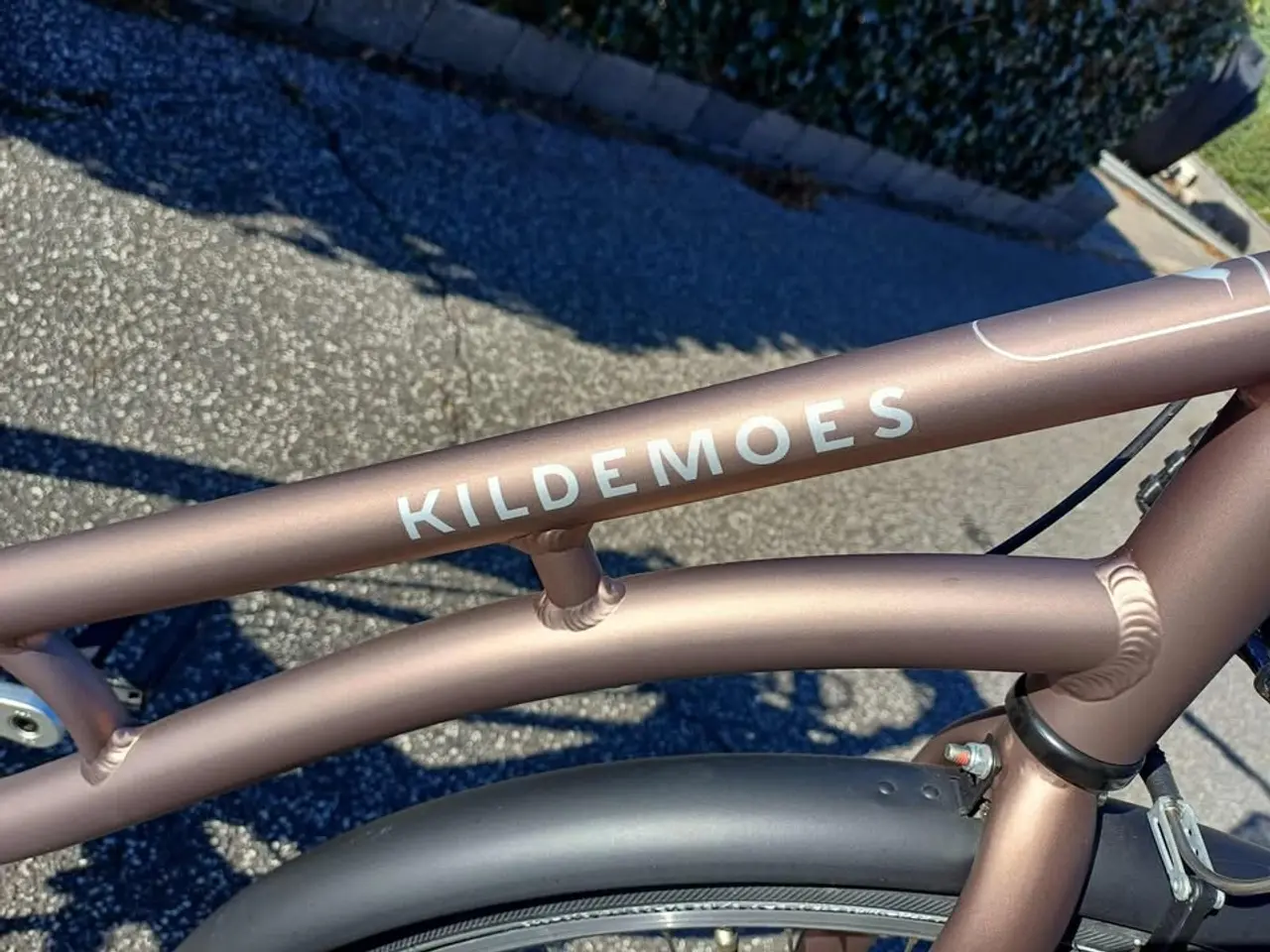 Billede 7 - Kildemos dame City Retro Limited