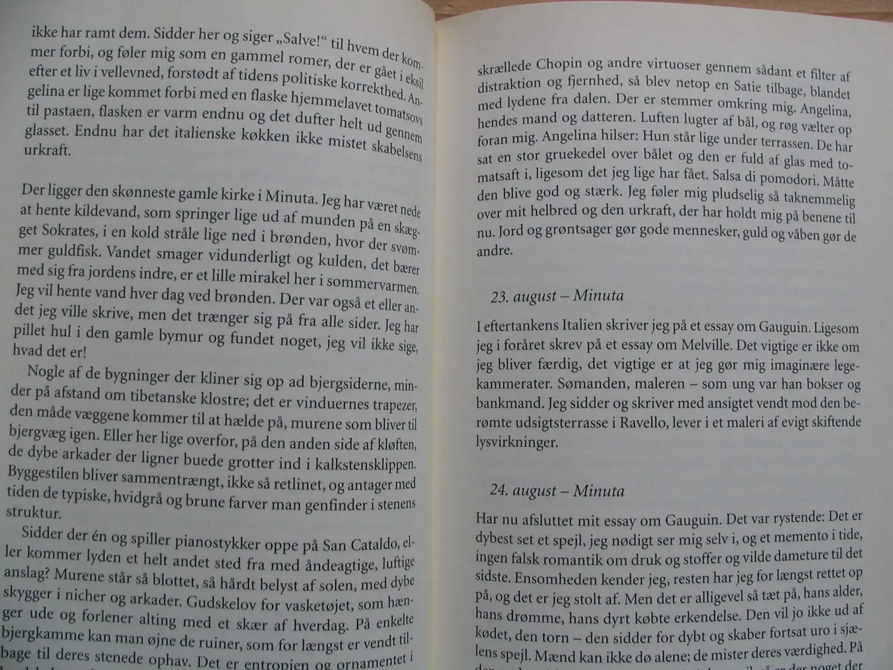 Billede 2 - Ib Michael. Mit år