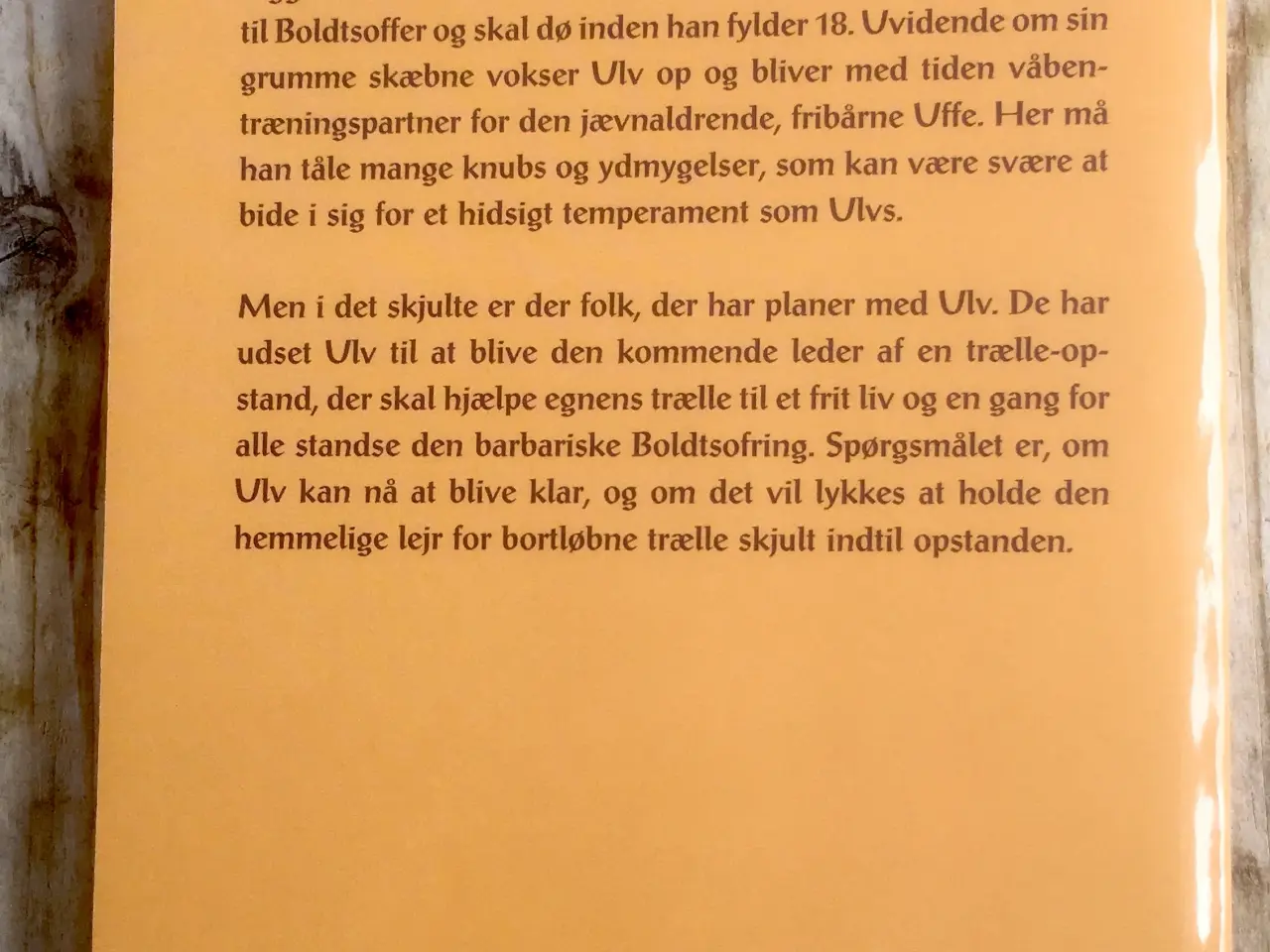 Billede 2 - Sinkens Spådom, Ole Henrik Hansen, genre: eventyr,