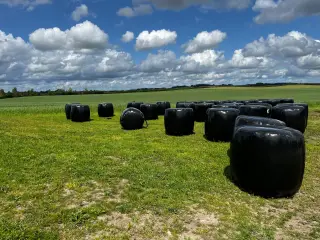 Øko wrap hø i 500kgs Rundballer mm