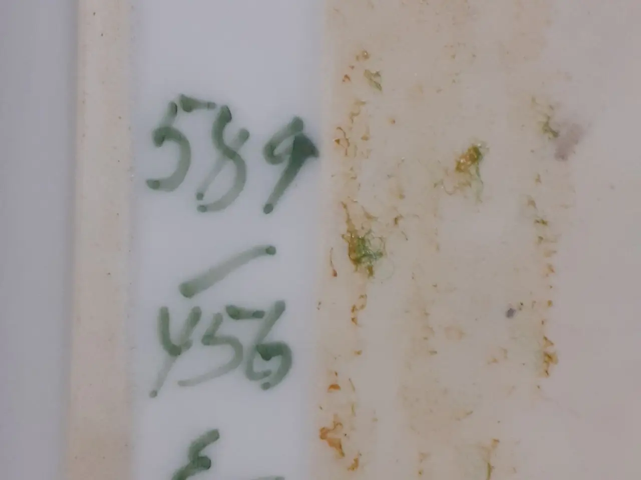 Billede 2 - Bing og Grøndahl