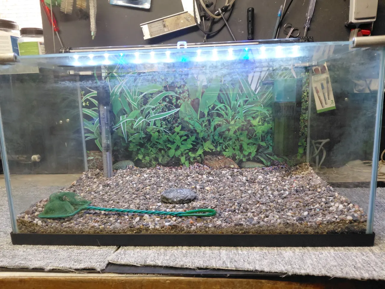 Billede 8 - Akvarier 52L 