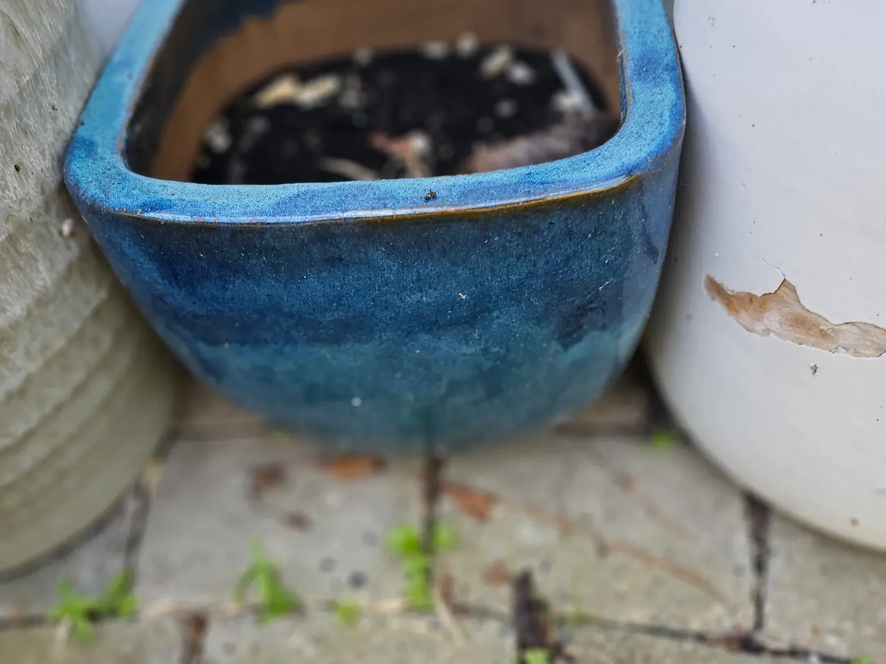 Billede 2 - Potte til planter