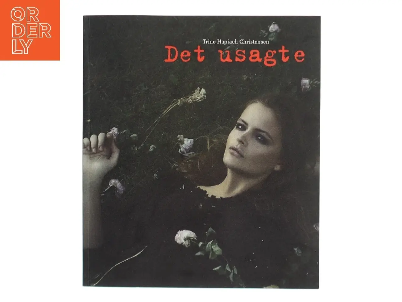Billede 1 - Det usagte af Trine Høpiach Christensen (Bog)