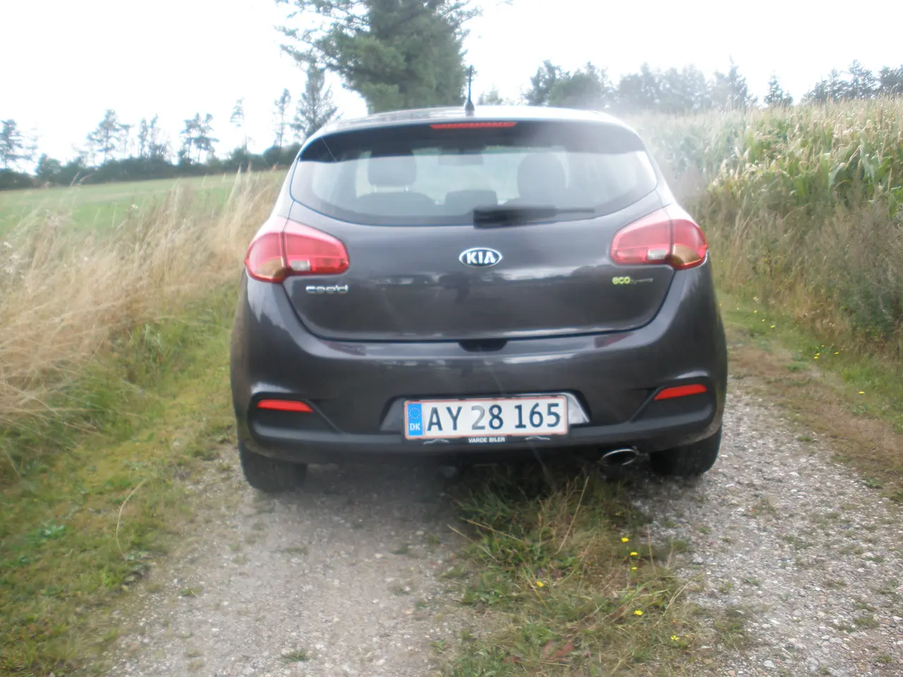 Billede 8 - Kia Ceed 1,4 CRDI 5 dørs
