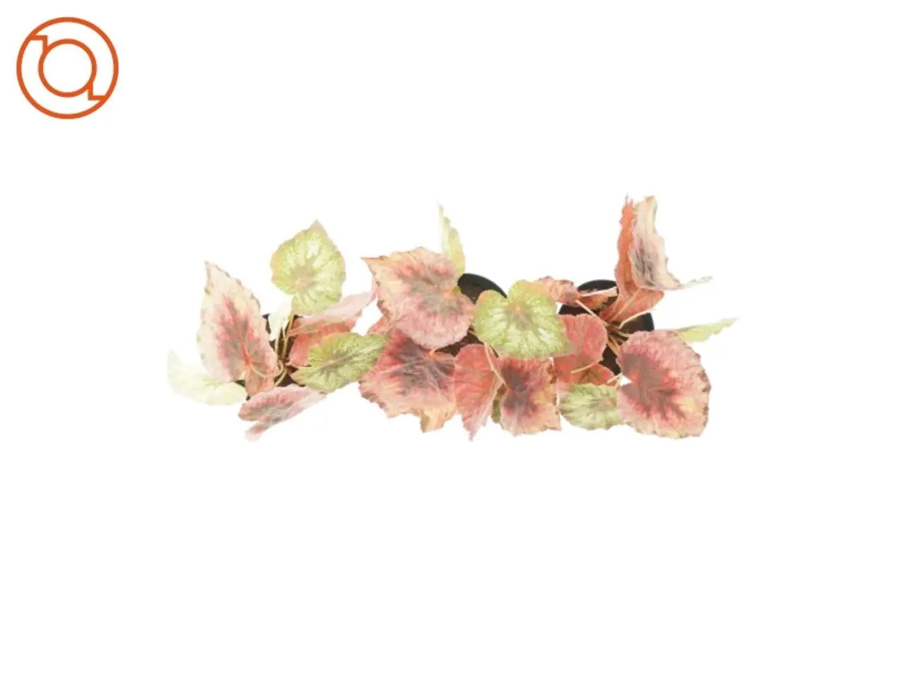 Billede 2 - kunstige planter 3 stk. (str. 20 x 8cm)