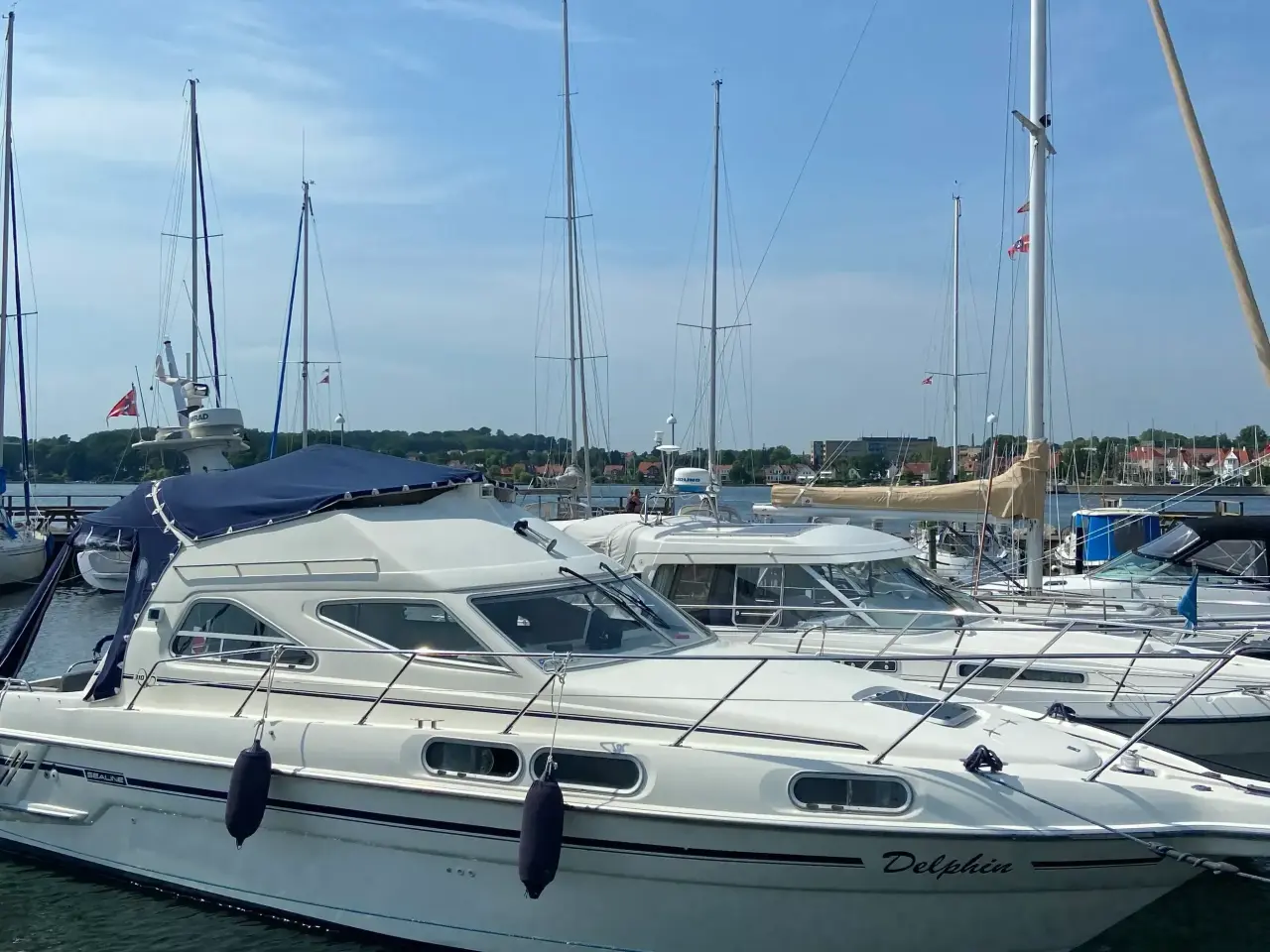 Billede 1 - Sealine 310