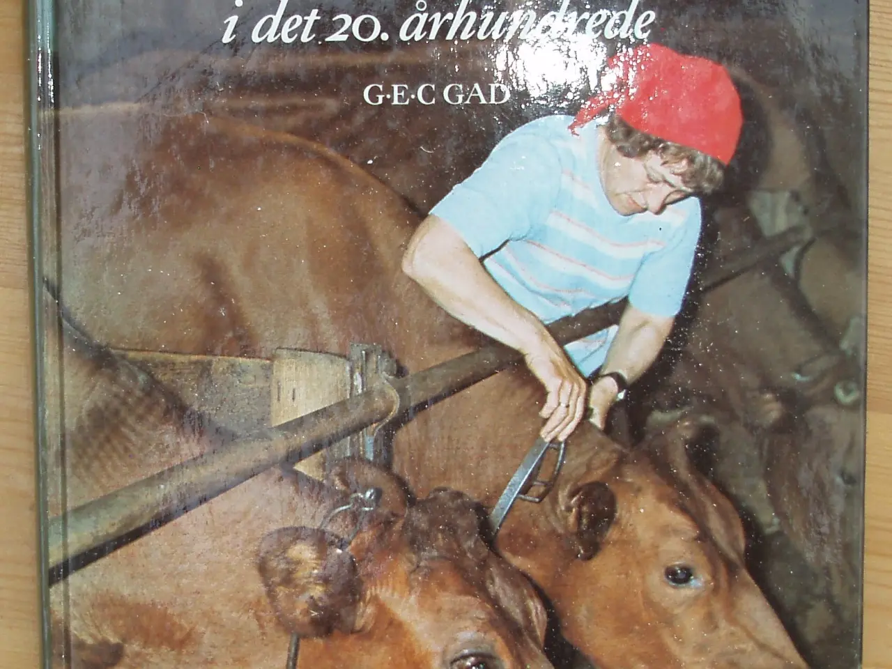 Billede 1 - Landbokvinden i det 20.århundrede