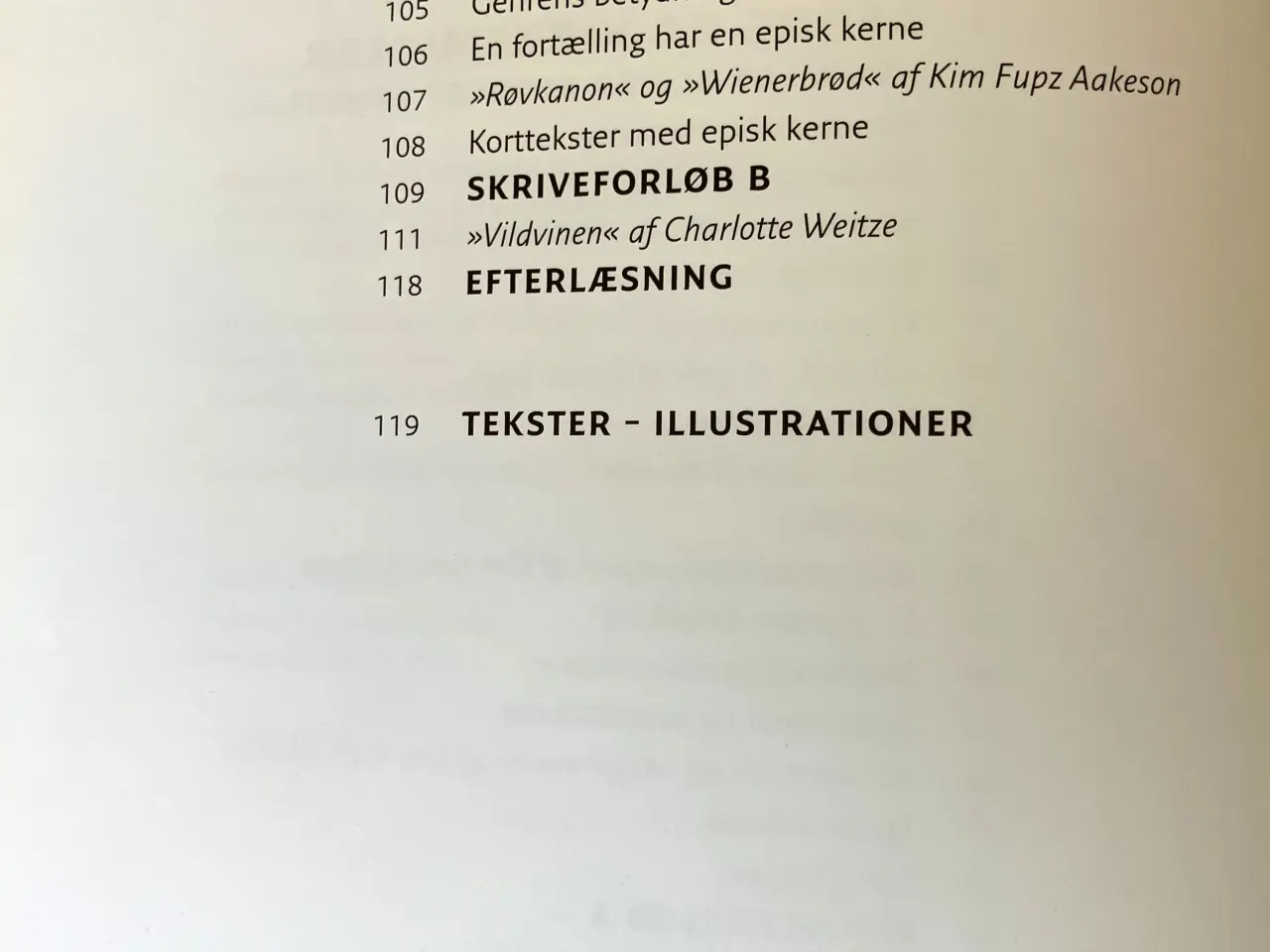 Billede 4 - Læselyst og skrivefryd. Bind 2. Af  Cecilie Bogh, 