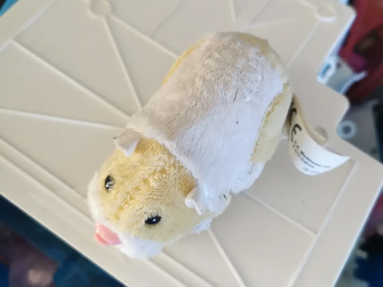 Billede 5 - Hamster med diverse tilbehør