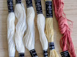 Brillanté d'Alger broderigarn - Pose 4