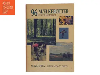 96 mælkebøtter fra friluftslivet : Se naturen i København og omegn af Friluftsrådet (Bog)