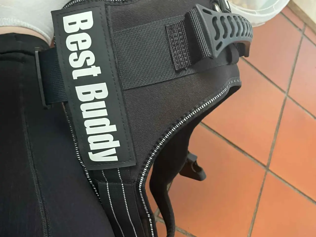 Billede 19 - Hundeting til salg