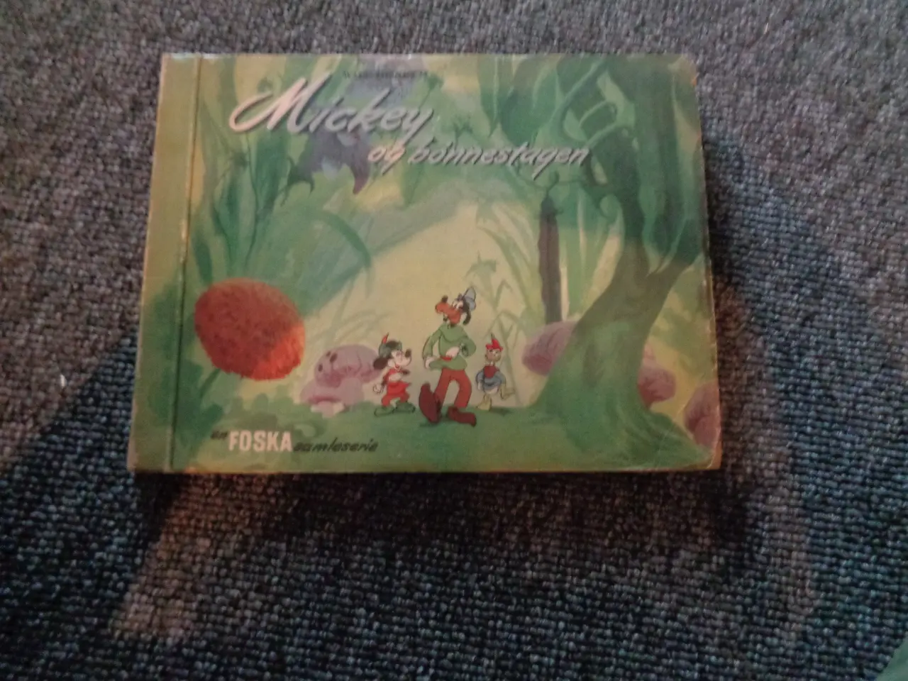 Billede 1 - Foska samlemappe