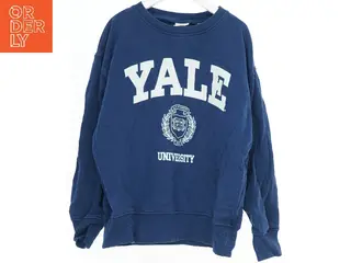 Yale University sweatshirt fra Zara (str. 140)