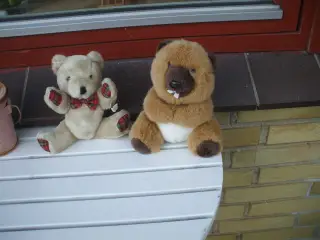 Bamse og bæver