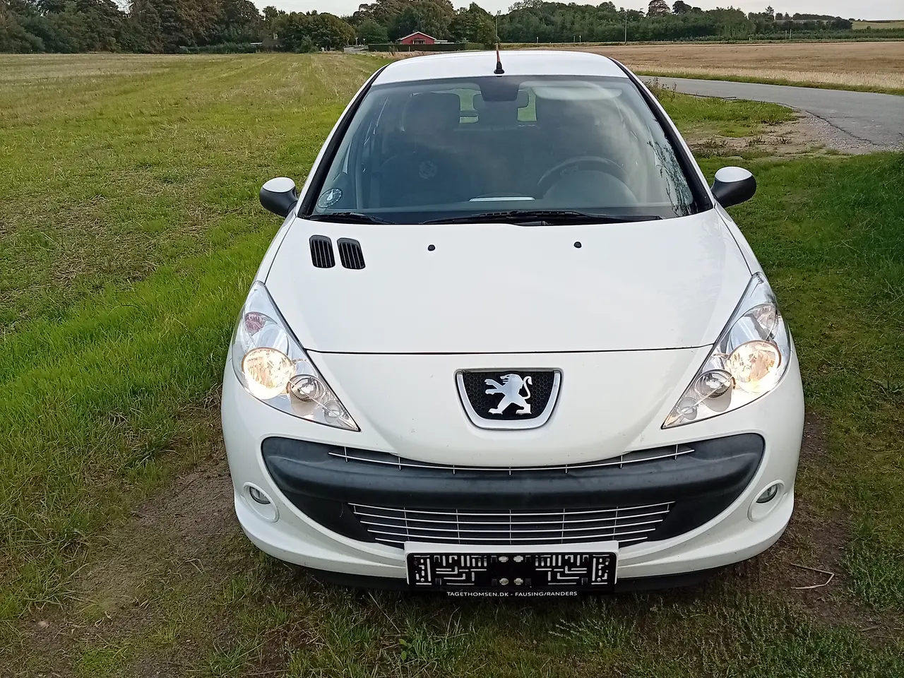 Billede 1 - Peugeot 206+nysynet