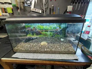 Akvarier 54L 
