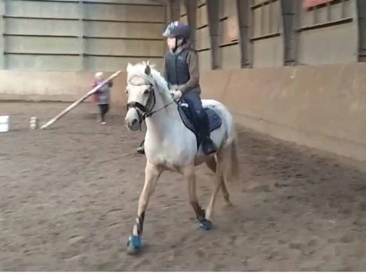 Billede 4 - Smuk palomino hoppe 5 år kat:2 pony