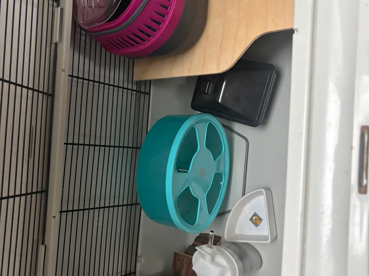 Billede 2 - Stort bur til hamster med tilbehør