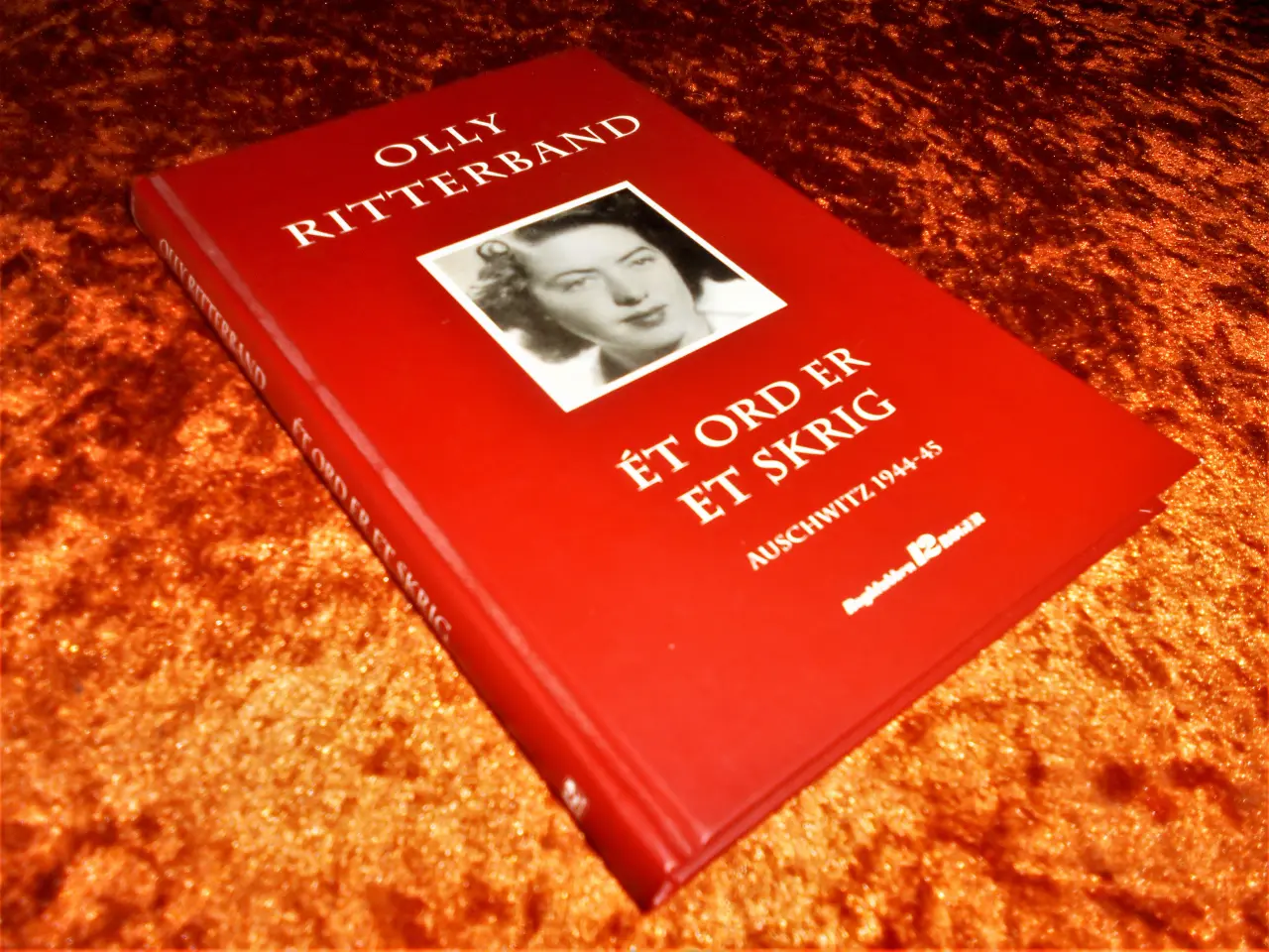 Billede 1 - Ét ord er et skrig, Olly Ritterband,