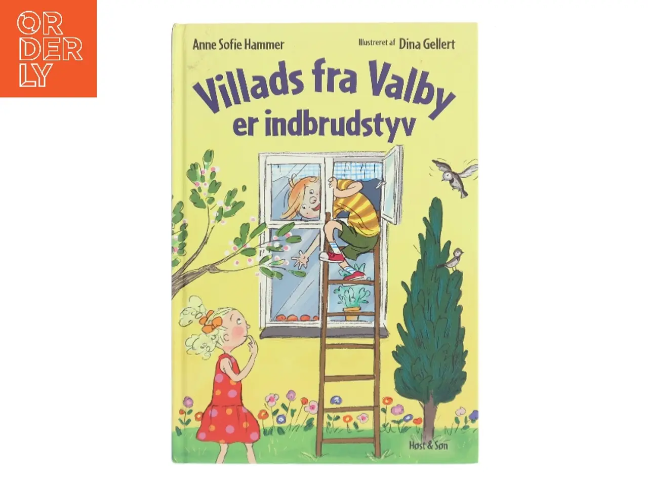 Billede 1 - Villads fra Valby er indbrudstyv (Bog)
