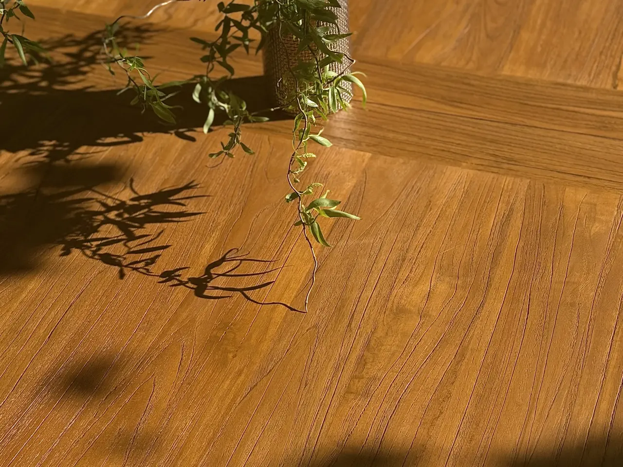 Billede 3 - Eksklusivt nyrenoveret massivt teakbord – Indoor &