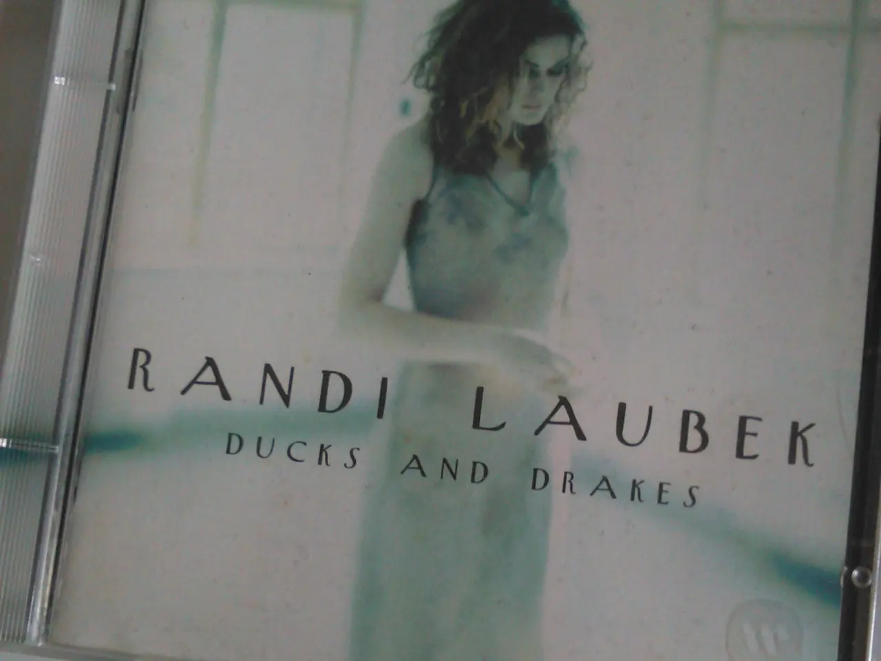 Billede 1 - Randi Laubek: Ducks and Drakes (1997