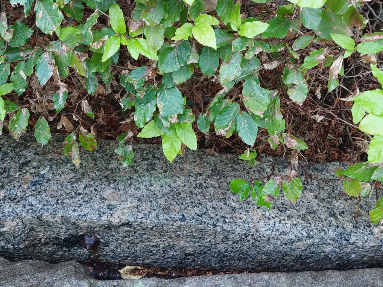 Billede 2 - Granit, gamle, hugget i dansk granit.