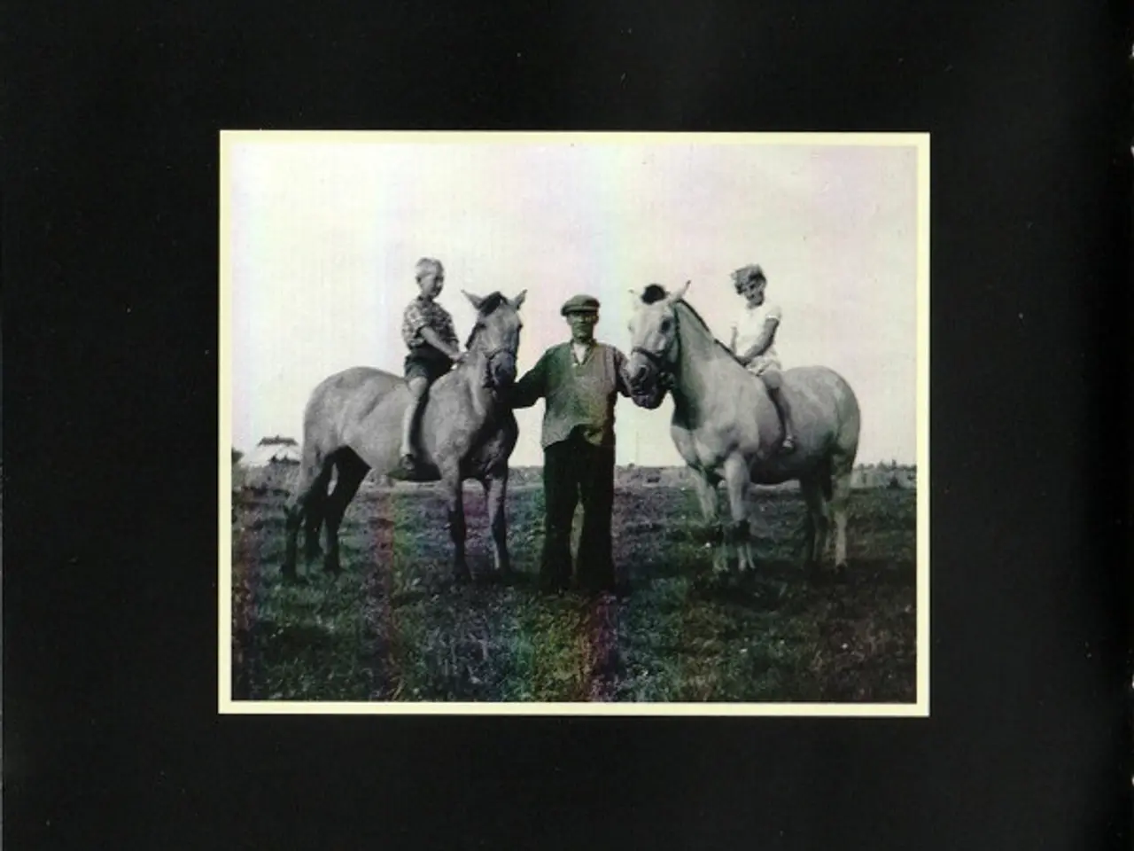 Billede 6 - Allan Olsen – Jøwt – CD