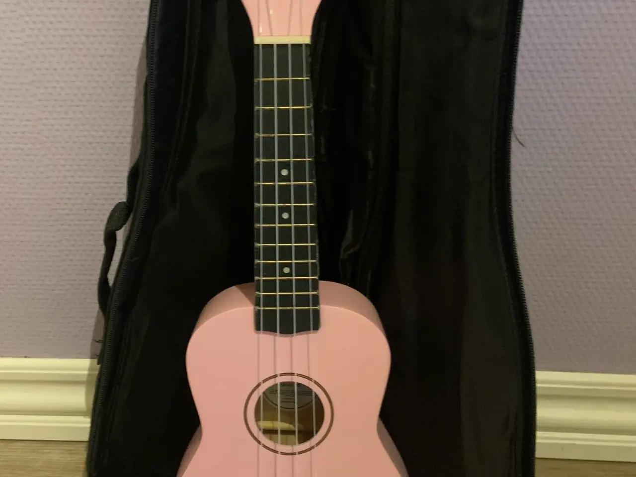Billede 1 - Børne guitar med taske og afstemmer