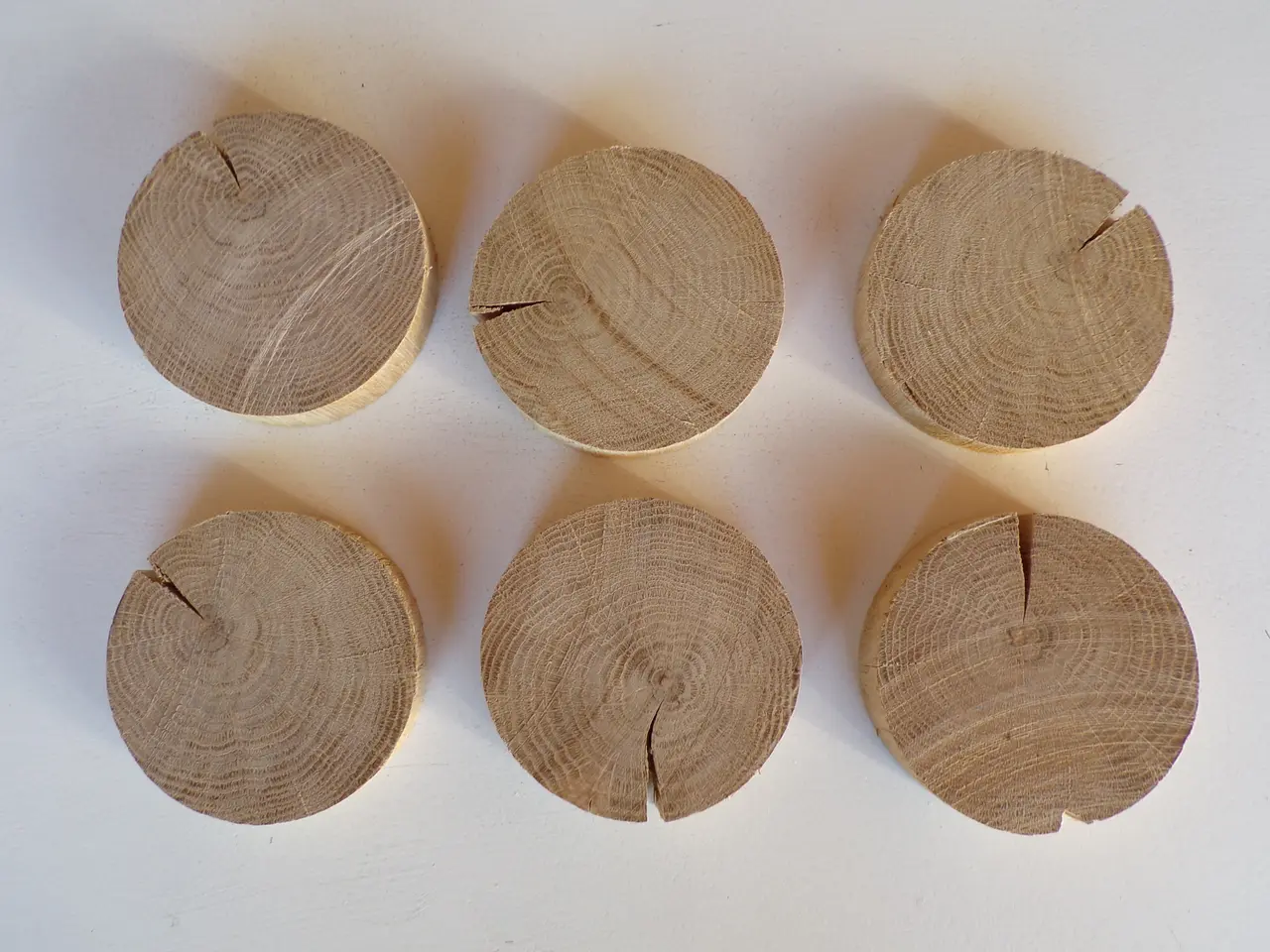 Billede 1 - 6 NYE Træskiver Egetræ ca. 10 cm